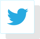 X (Twitter)