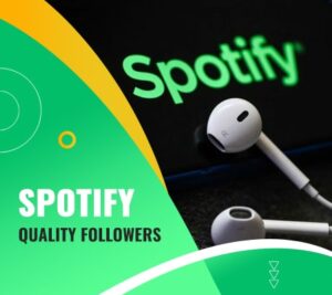 Spotify Quality Followers